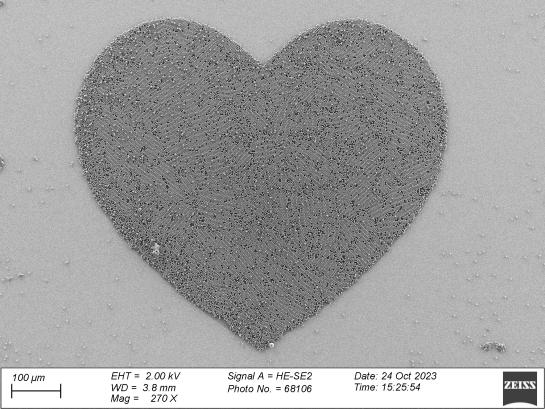 AFM image of microparticles controlledly printed in the shape of a heart icon. The scale is 100 µm, which is a hair thickness. © Ignaas Jimidar